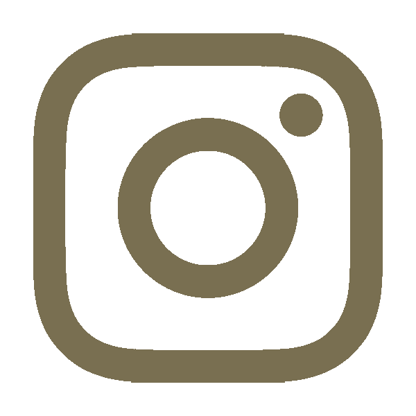 TIC Instagram Icon